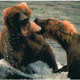 Image for article titled 10 Awesome Online Classes You Can Take For Free